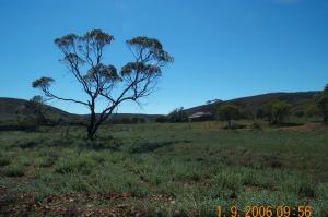 DCP_1575 Gawler Rangers