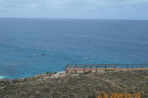DCP_1580 Head of the Bight
