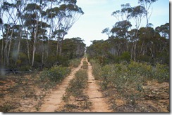 IMGP2811 Neds Corner Rd