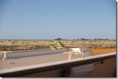 IMGP2851 Camp 3 Mundrubilla Station