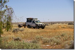 IMGP2869 Budgerigars at Chowilla Doline
