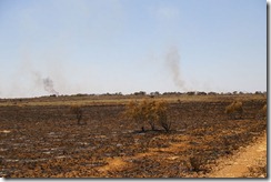 IMGP2883 Fires on Old Coach Rd