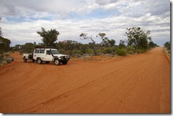 IMGP2984 Googs and Transline