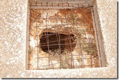 IMGP2994 Paringa Rockhole