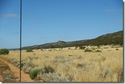 IMGP3079 Roe Plains Hampton Tablelands