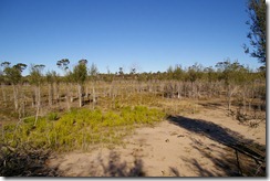 IMGP3162 Lake Cronin